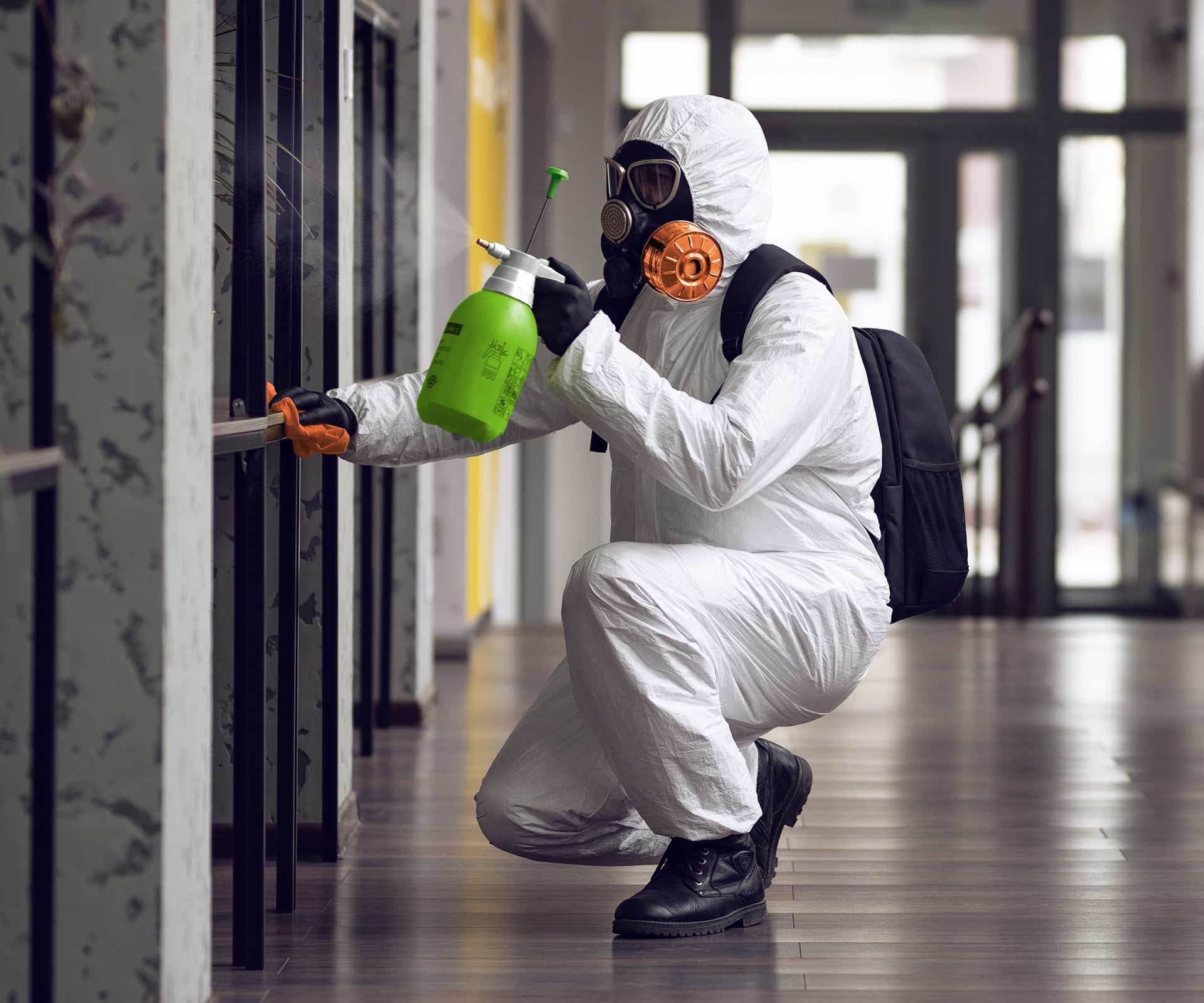 mold testing remediation services